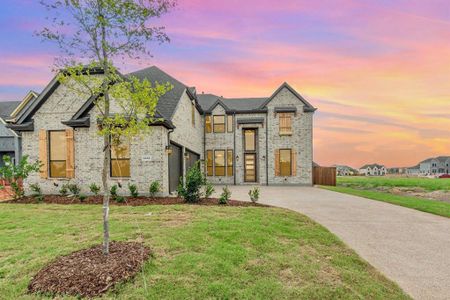New construction Single-Family house 4010 Pleasant Dr, Prosper, TX 75078 - image
