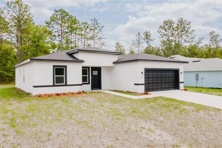 New construction Single-Family house 13053 Sw 73Rd Court Rd, Ocala, FL 34473 null- photo 2 2