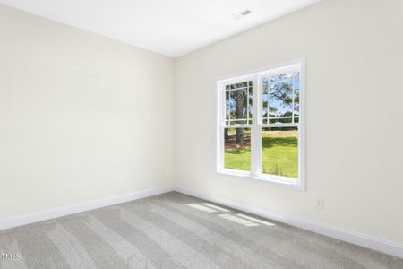 New construction Single-Family house 776 Shadetree Rd, Benson, NC 27504 - image 19