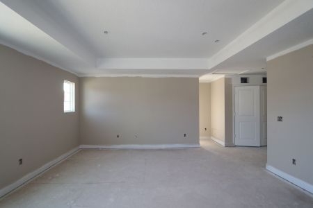 New construction Single-Family house 20125 Oriana Loop, Land O' Lakes, FL 34638 Santina II- photo 125 125