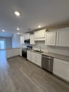 New construction Single-Family house 286 Selesia Ln, Pleasant View, TN 37146 - image 3