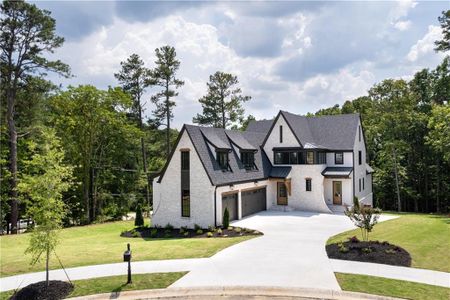 New construction Single-Family house 81 Telfair Court, Acworth, GA 30101 - photo 1 1