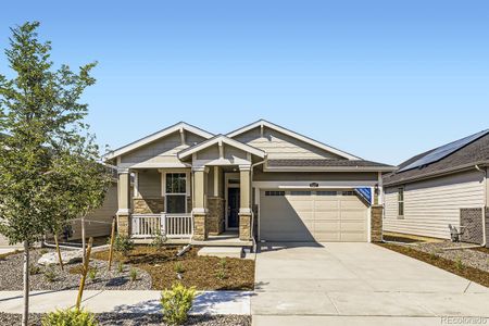 New construction Single-Family house 5137 N Quemoy Street, Aurora, CO 80019 Augusta- photo 0