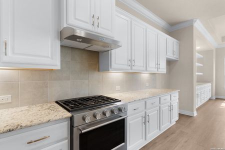 New construction Single-Family house 165 Allin Oaks, Universal City, TX 78148 plan Bordeaux - image 6