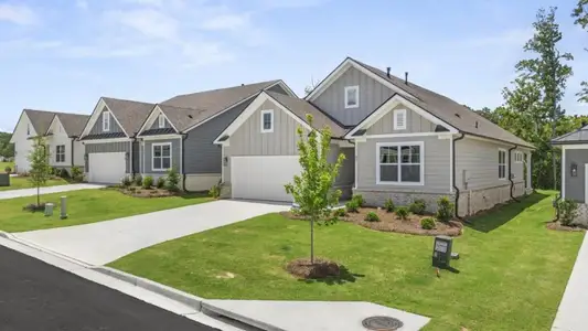 New construction Single-Family house 55 Lakeview Pt, Dallas, GA 30157 plan BRISTOL - image