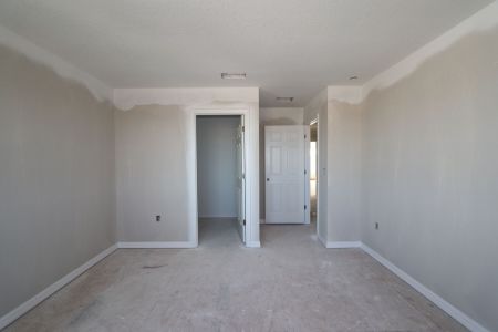 New construction Single-Family house 38338 Tobiano Loop, Dade City, FL 33525 Mira Lago- photo 78 78