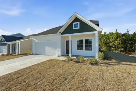 New construction Single-Family house 260 Clarabelle Ln, Summerville, SC 29483 - image