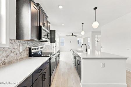 New construction Single-Family house 590 Watauga Ln, Unit 525, Aberdeen, NC 28315 plan Nelson - image 11