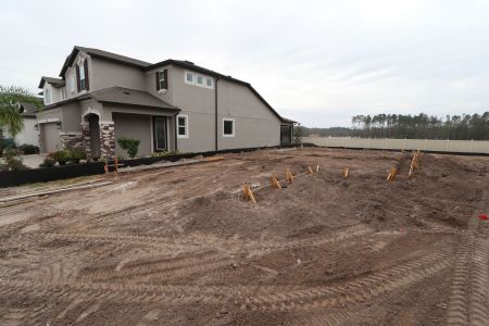 New construction Single-Family house 2584 Sunny Pebble Lp, Zephyrhills, FL 33540 Miralles- photo 4 4