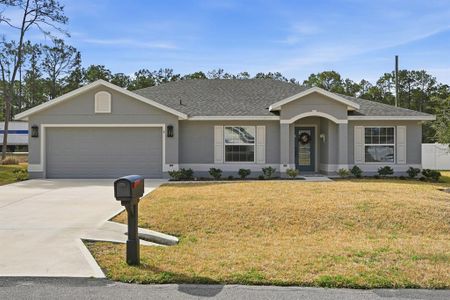 New construction Single-Family house 6 Ryder Pl, Palm Coast, FL 32164 - image