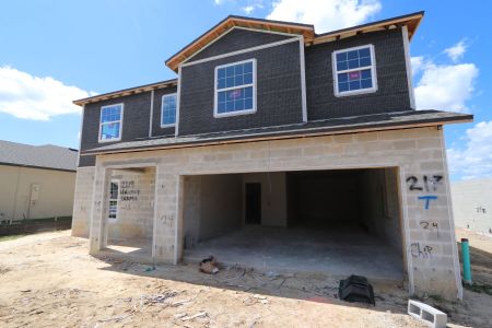 New construction Single-Family house 12219 Hilltop Farms Dr, Dade City, FL 33525 Malibu- photo 58 58