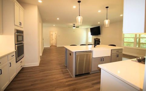 New construction Single-Family house 93 Riverwalk Manor Dr, Dallas, GA 30132 - image 16