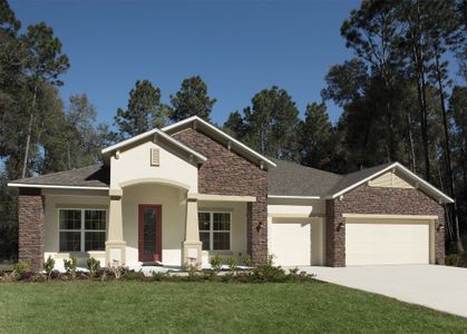 New construction Single-Family house 1012 Bradford Ridge Drive, Leesburg, FL 34748 - photo 0