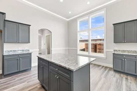 New construction Single-Family house 130 Merion Ln, La Vernia, TX 78121 - image 10