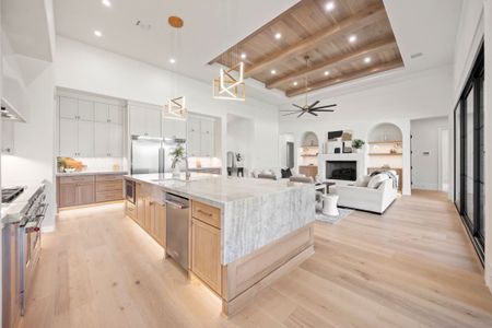 Summit Ranch by Ashlyn Homes in Aledo - image 19