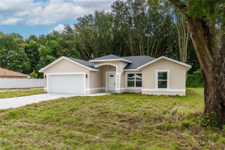 New construction Single-Family house 1 Pine Trace Trl, Ocala, FL 34472 null- photo 46 46