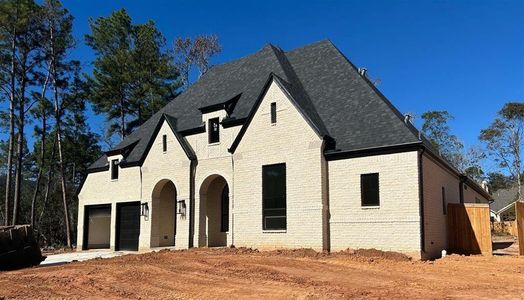 New construction Single-Family house 114 Pinehill Trails Court, Willis, TX 77318 Barletta- photo 0