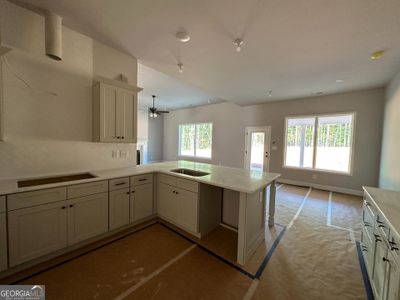 New construction Single-Family house 55 Belle Hall, Newnan, GA 30263 Springer A- photo 9 9