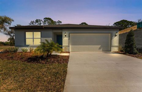 New construction Single-Family house 10826 Sapphire Breeze Cv, Parrish, FL 34219 plan Hanover - image