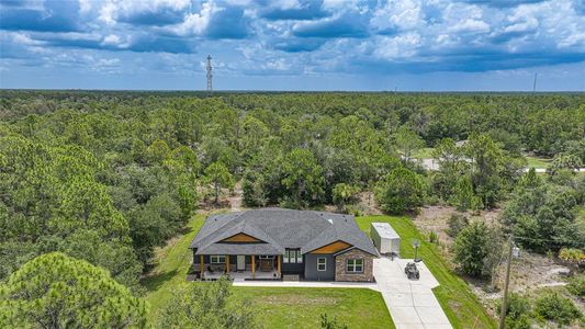 New construction Single-Family house 13190 Banyan Dr, Punta Gorda, FL 33955 - image