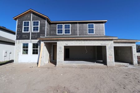 New construction Single-Family house 20050 Oriana Loop, Land O' Lakes, FL 34638 Santa Monica- photo 72 72