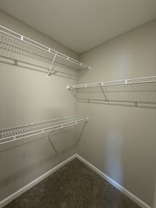 New construction Single-Family house 286 Selesia Ln, Pleasant View, TN 37146 - image 11