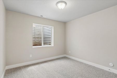 New construction Single-Family house 9695 Blaurock Dr, Fountain, CO 80817 plan Olive - image 19