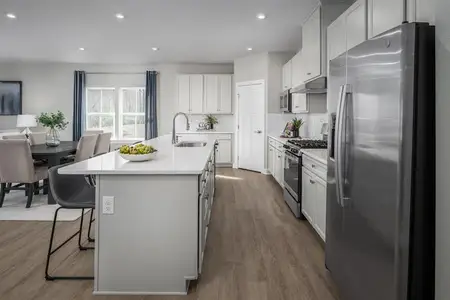 New construction Single-Family house 909 Jade Wy, Moore, SC 29369 plan Palladio Ranch - image