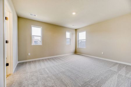 New construction Single-Family house 13791 Daffodil Wy, Parker, CO 80134 plan Braeburn - image 16