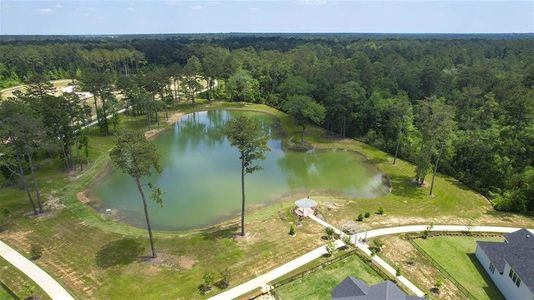 New construction Single-Family house 534 Red Eyed Vireo Ct, Magnolia, TX 77354 Montague- photo 0