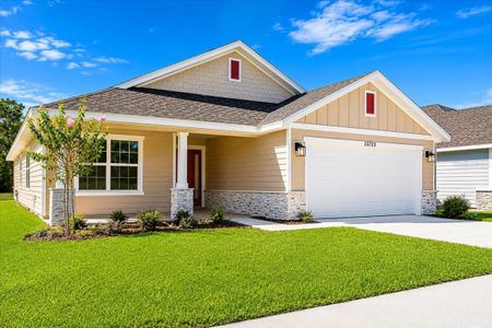 New construction Single-Family house 16840 Nw 178Th Ter, Alachua, FL 32615 plan 1820 - image