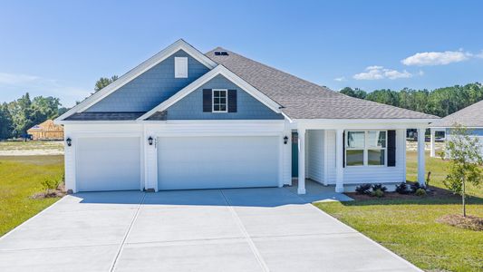 New construction Single-Family house 325 Merchant Point Blvd, Jacksonville, NC 28546 plan Martin - image