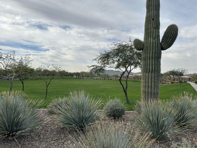 New construction Single-Family house 7684 Tether Trl, Peoria, AZ 85383 Topaz Homeplan- photo 64 64