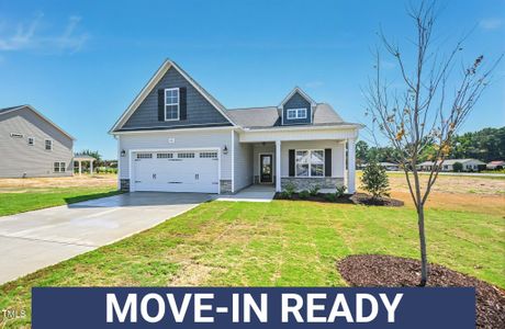 New construction Single-Family house 100 Hudson Village Dr, La Grange, NC 28551 plan Smith - image 18