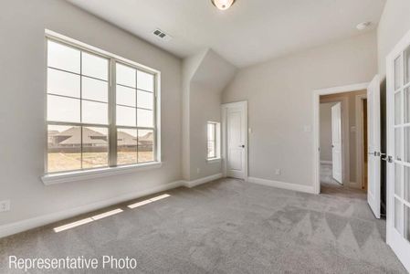 New construction Single-Family house 705 Clover Ln, Anna, TX 75409 plan Grand Signature - image 12