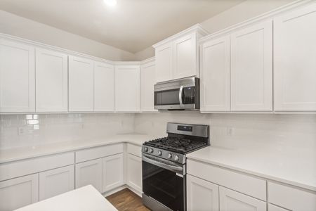 New construction Single-Family house 111 Lark Sparrow Wy, Lexington, SC 29073 plan Nile - image 6