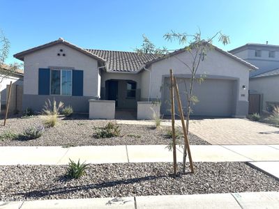 New construction Single-Family house 43741 N Wollemi St, Queen Creek, AZ 85140 - image