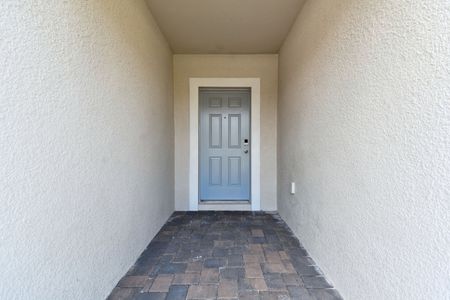 New construction Single-Family house 12227 Hilltop Farms Dr, Dade City, FL 33525 Sentinel- photo 153 153