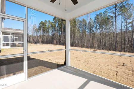 New construction Single-Family house 177 Beacon Dr, Pittsboro, NC 27312 Lucky- photo 23 23