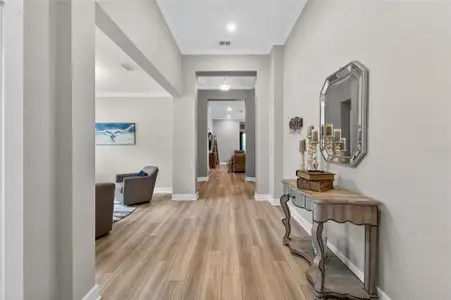 New construction Single-Family house 5961 Blakeney Lp, Apollo Beach, FL 33572 - image 20