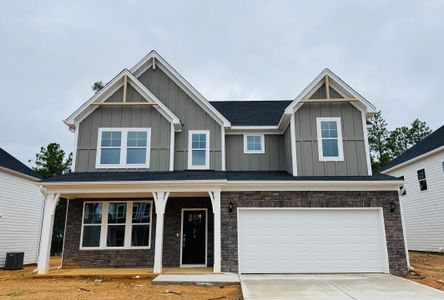 New construction Single-Family house 314 Rising Stream Wy, Chapin, SC 29036 plan Roanoke - image