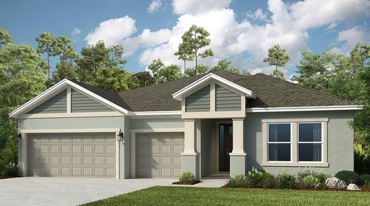 New construction Single-Family house 3213 Lumber Falls Dr, Plant City, FL 33565 plan Java - image