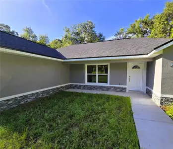 New construction Single-Family house 2984 Se 140Th Ln, Summerfield, FL 34491 - image