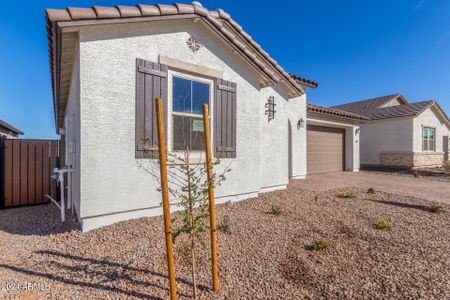 New construction Single-Family house 21485 N Elba Rd, Maricopa, AZ 85138 Celeste- photo 37 37