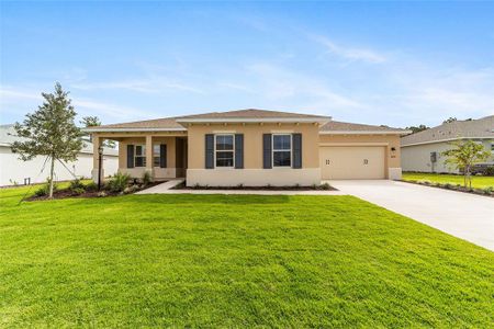 New construction Single-Family house 10008 Sw 106Th Cir, Ocala, FL 34481 - image