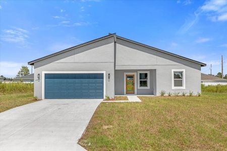 New construction Single-Family house 4683 Sw 136Th St, Ocala, FL 34473 null- photo 0