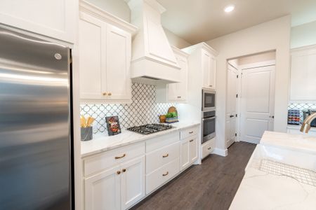 New construction Single-Family house 901 Capella Ln, Mansfield, TX 76063 plan Arabella - image 3