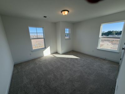 New construction Single-Family house 18 Cedar Run Ct, Benson, NC 27504 plan Ellerbe - image 18