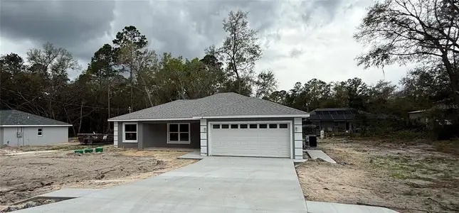 New construction Single-Family house 6 Bay Pass Ter, Ocklawaha, FL 32179 - image