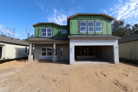 New construction Single-Family house 12008 Hilltop Farms Dr, Dade City, FL 33525 Alenza- photo 55 55